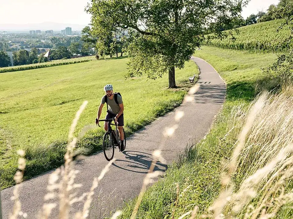 Ein JobRadler auf einem Fahrradweg im Grünen am Schlierberg