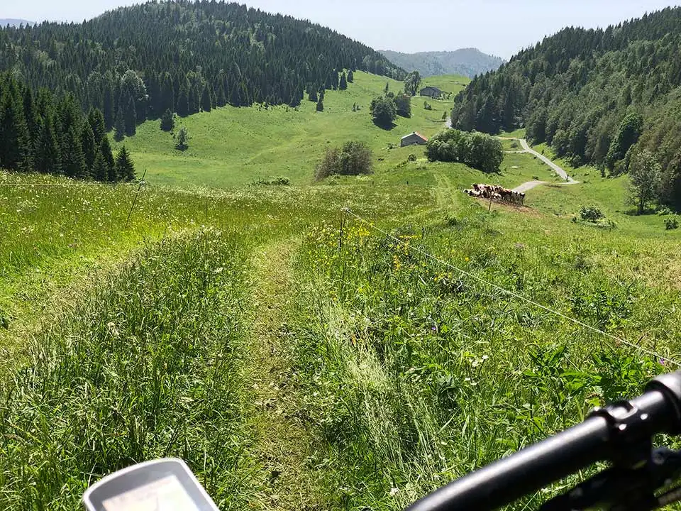 POV foto vom Fahrradlenker blick auf Fahrradweg durch hohes Gras POV foto vom Fahrradlenker blick auf Fahrradweg durch hohes Gras